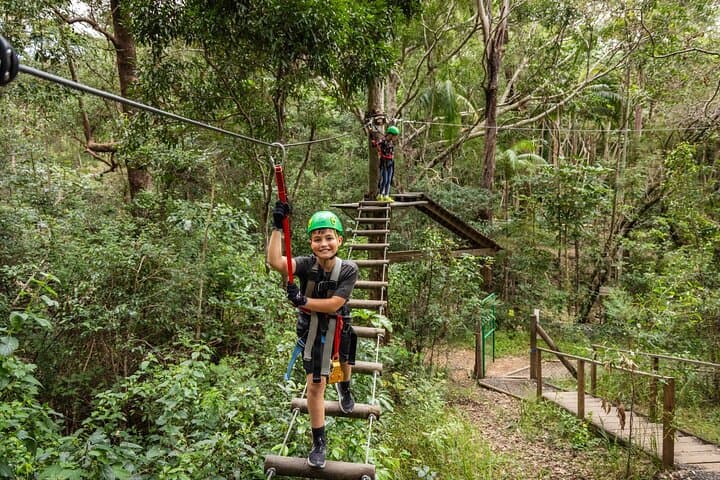 Treetop Challenge Adrenaline Pass: Zipline and High-Ropes at Tamborine Mountain photo 4