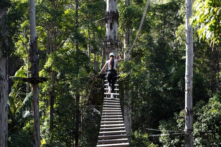 Treetop Challenge Adrenaline Pass: Zipline and High-Ropes at Tamborine Mountain photo 5