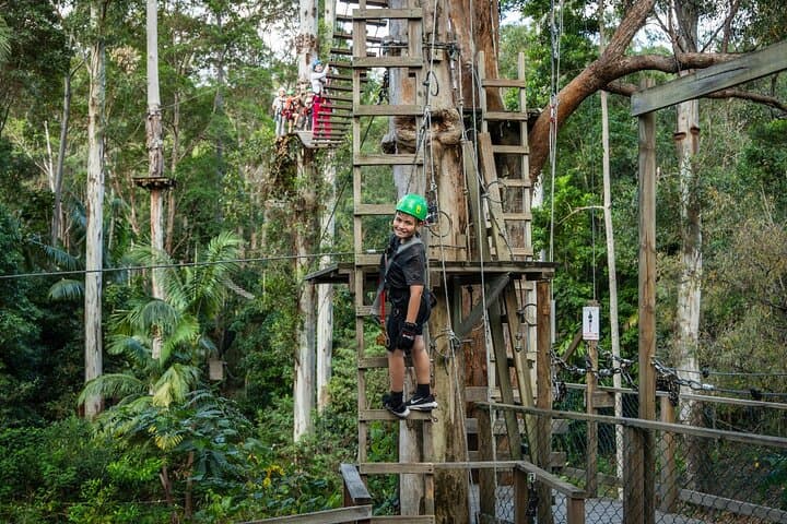 Treetop Challenge Adrenaline Pass: Zipline and High-Ropes at Tamborine Mountain photo 6