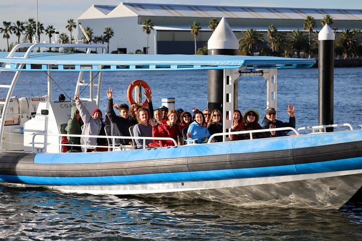 Newcastle Humpback Whale Encounter — 2-Hour Eco Cruise for Whale Watching photo 6