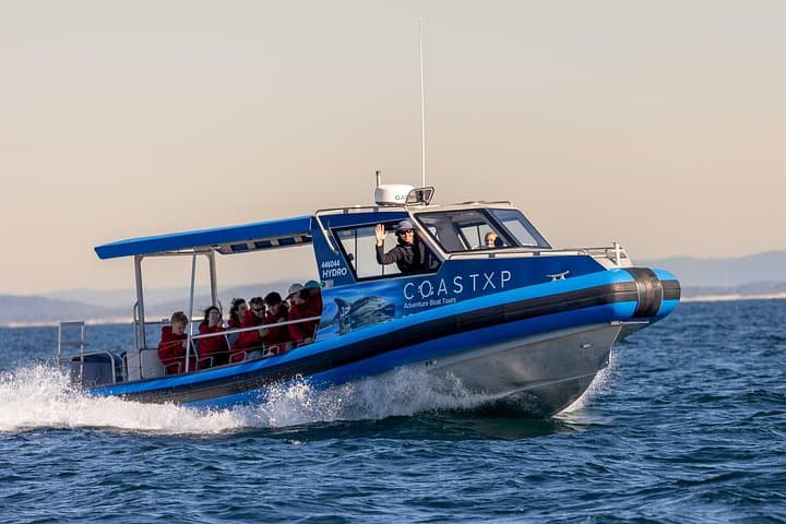 Lake Macquarie Whale Watching: Humpback Discovery Tour from Swansea photo 5
