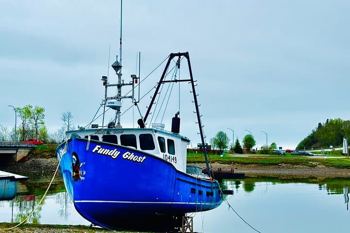 Bay of Fundy Guided Tour from Saint John — Reversing Falls, St. Martins & Fundy Trail photo 6
