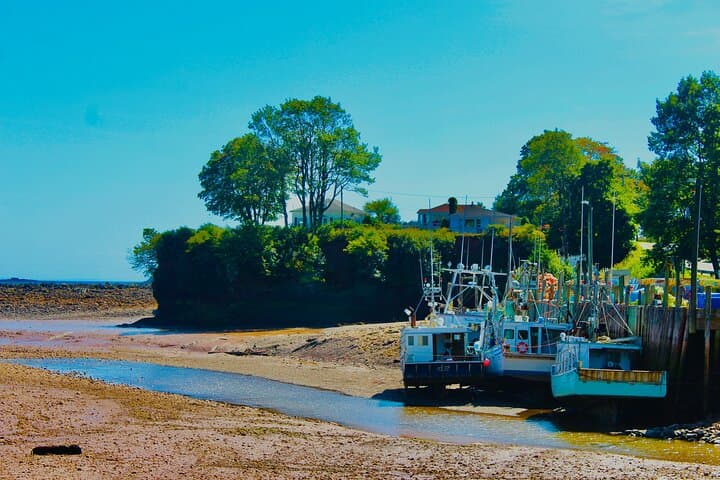 Bay of Fundy Guided Tour from Saint John — Reversing Falls, St. Martins & Fundy Trail photo 2