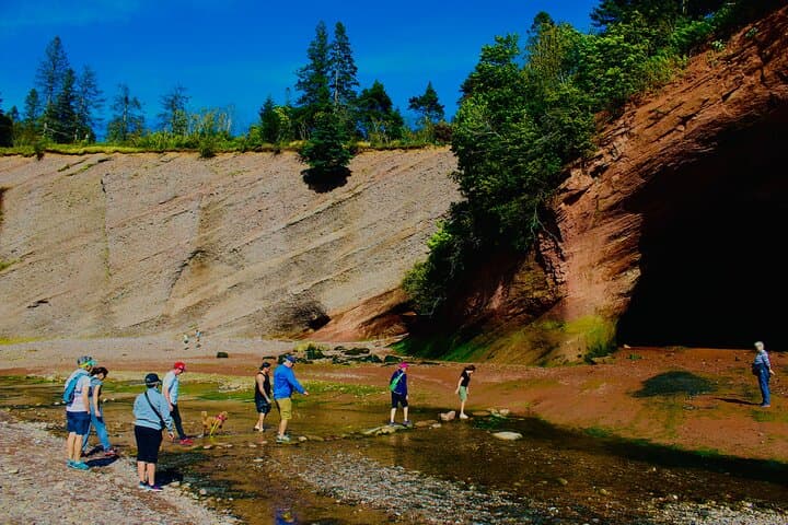 Bay of Fundy Guided Tour from Saint John — Reversing Falls, St. Martins & Fundy Trail