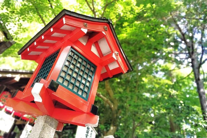 Serene Morning Walk in Arashiyama Bamboo Grove — Kyoto Dawn Tour photo 3