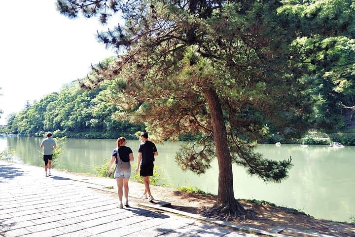 Serene Morning Walk in Arashiyama Bamboo Grove — Kyoto Dawn Tour photo 4