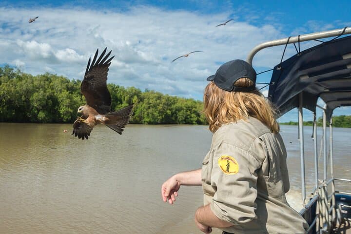 Adelaide River Jumping Crocodile Cruise from Darwin — Half-Day Wildlife Tour photo 3