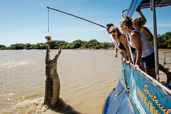 Adelaide River Jumping Crocodile Cruise from Darwin — Half-Day Wildlife Tour photo 5