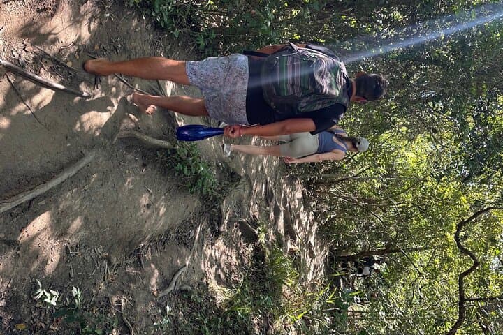 Come Hike Maui with Me: Small-Group Rainforest and Waterfall Hikes on Maui photo 2