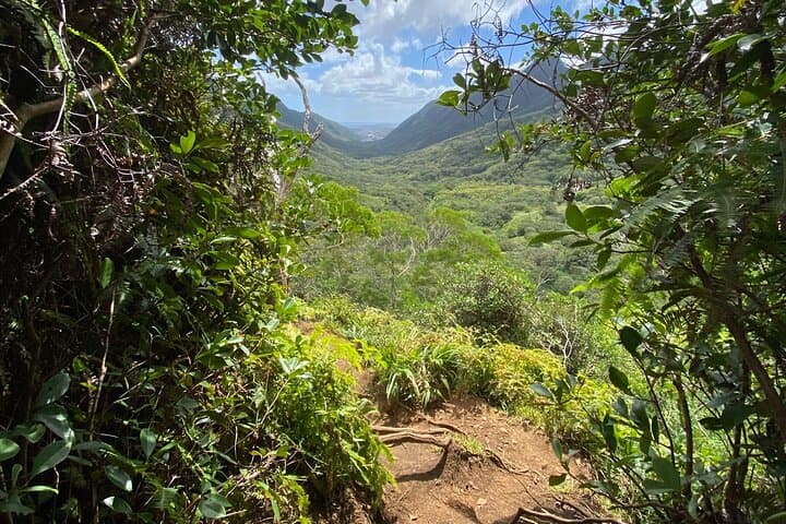 Come Hike Maui with Me: Small-Group Rainforest and Waterfall Hikes on Maui