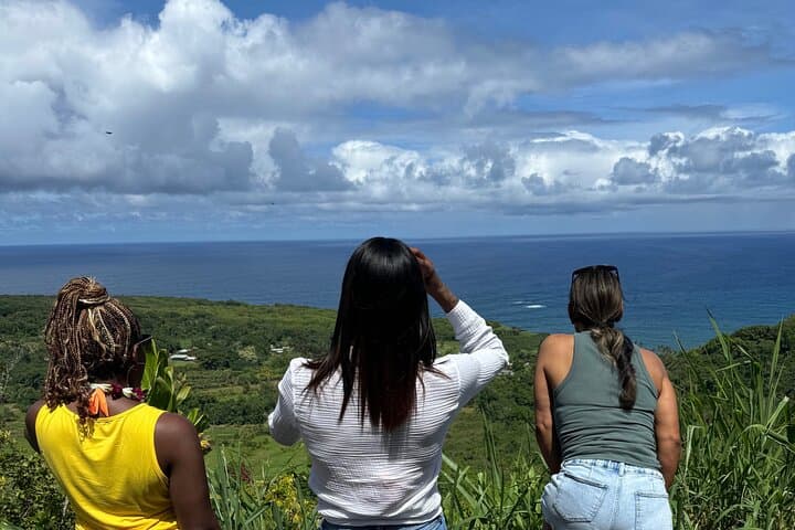Come Hike Maui with Me: Small-Group Rainforest and Waterfall Hikes on Maui photo 4