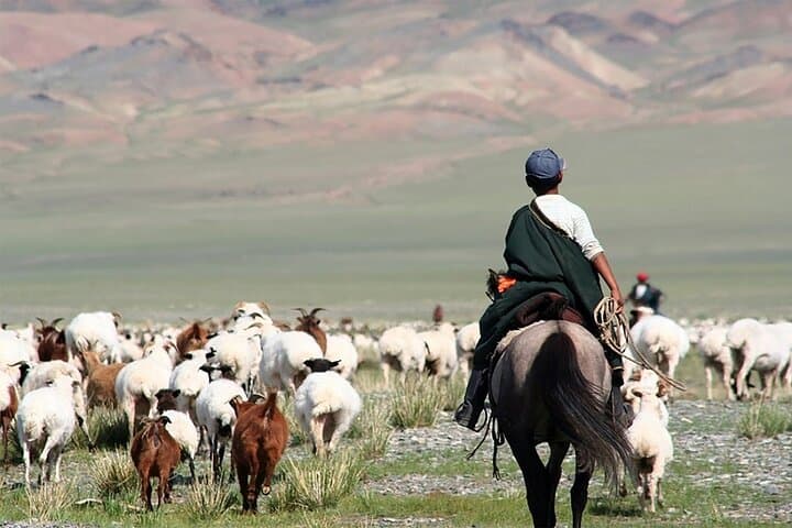 3-Day Nomadic Real Life Experience in the Mongolian Steppe photo 2