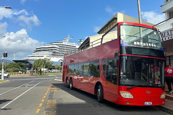 Cairns Hop-On Hop-Off Bus: Easy Stops at the Esplanade, Aquarium & Botanic Gardens photo 2