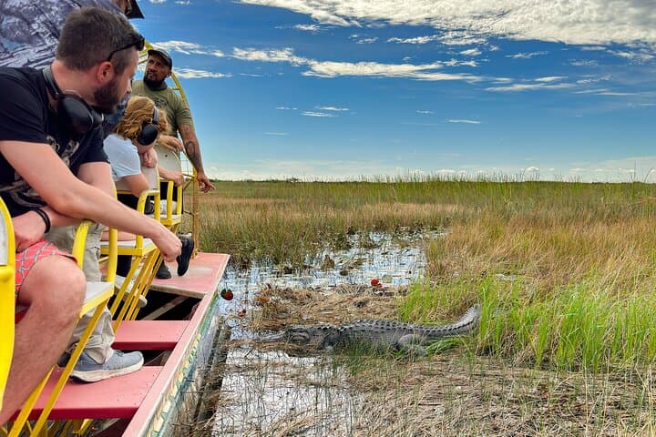 Private Everglades Eco Adventure: Airboats, Gators & Wild Florida photo 6