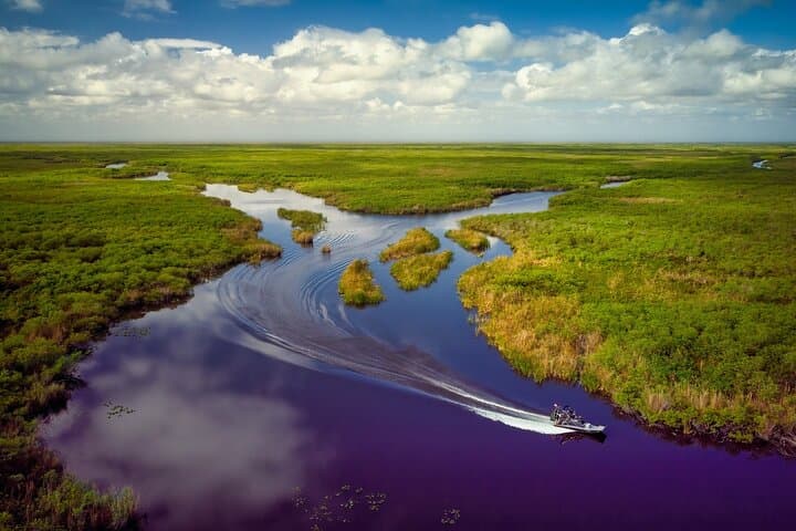 Private Everglades Eco Adventure: Airboats, Gators & Wild Florida photo 5