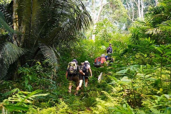 Ba Be Lake 3-Day Adventure: Homestays, Hiking & Ban Gioc Waterfall photo 4