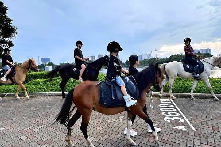 Hanoi Horseback Riding at Gamuda Yen So Park - Beginner Trails & Creative Session photo 5