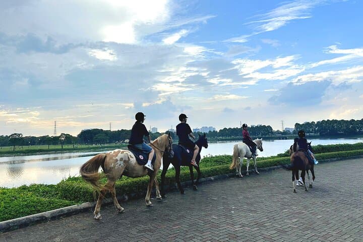 Hanoi Horseback Riding at Gamuda Yen So Park - Beginner Trails & Creative Session photo 6