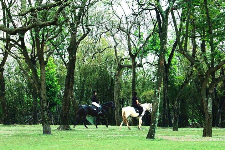 Hanoi Horseback Riding at Gamuda Yen So Park - Beginner Trails & Creative Session