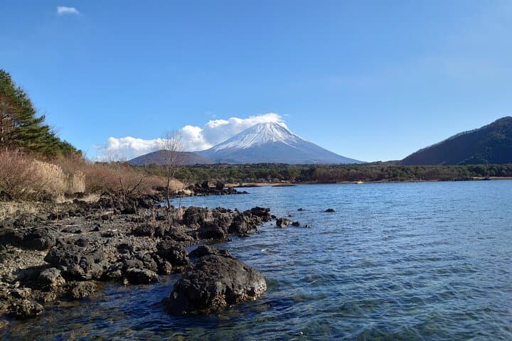 Fuji 5 Lakes Forest Bathing: Guided Hike to Motosuko Panorama