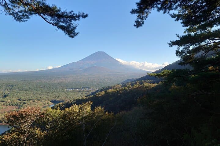Fuji 5 Lakes Forest Bathing: Guided Hike to Motosuko Panorama photo 2