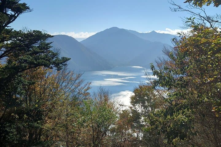 Fuji 5 Lakes Forest Bathing: Guided Hike to Motosuko Panorama photo 3