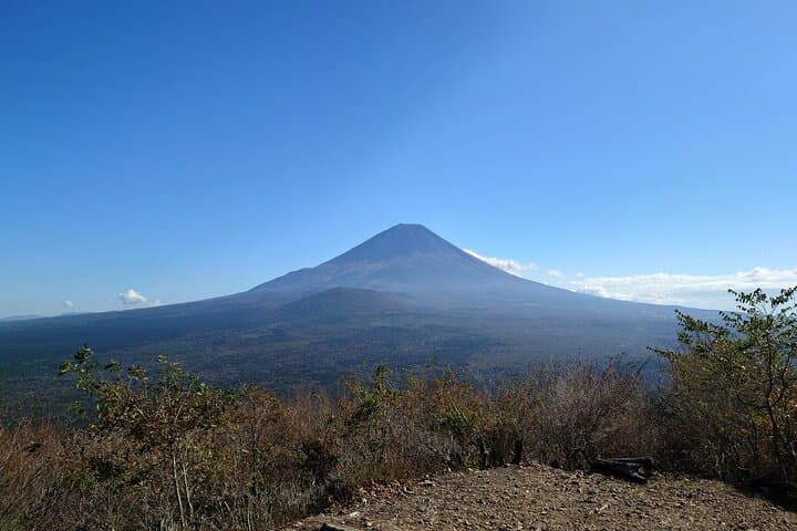 Fuji 5 Lakes Forest Bathing: Guided Hike to Motosuko Panorama photo 4