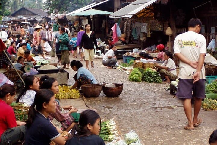 Luang Prabang 3-Day Cultural & Mekong Cruise Tour — Temples, Kuang Si & Pak Ou photo 5