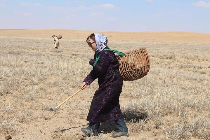 3-Day Nomadic Real Life Experience in the Mongolian Steppe photo 4