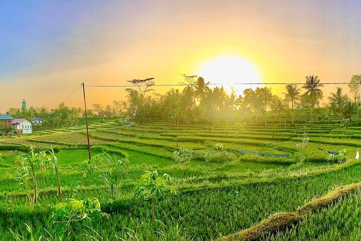 Tetebatu Walking Tour: Rice Terraces, Hidden Waterfalls & Mount Rinjani Views