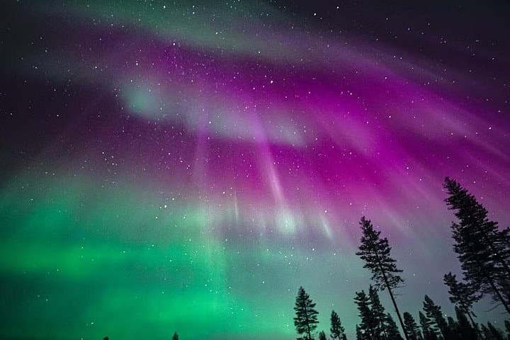 Rovaniemi Aurora Hunt: Guaranteed Northern Lights Photo Tour photo 2