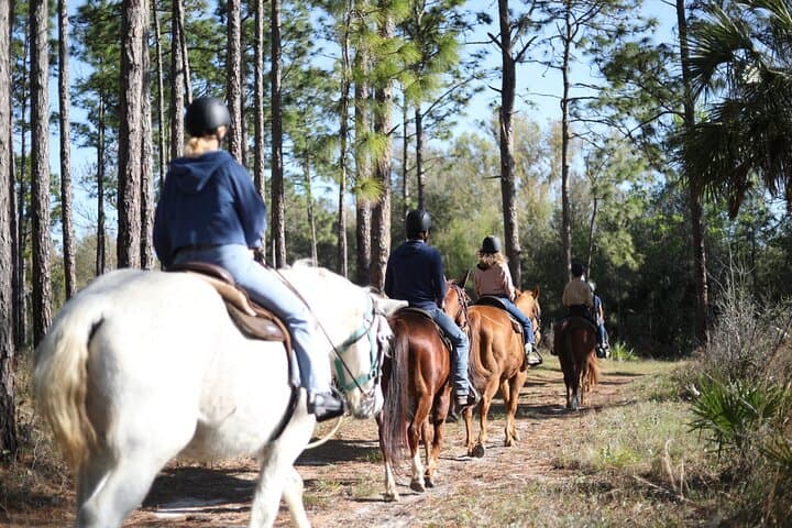 Saddle Up at Rock Springs Run: 1-Hour Guided Horseback Trail Ride Near Orlando photo 3