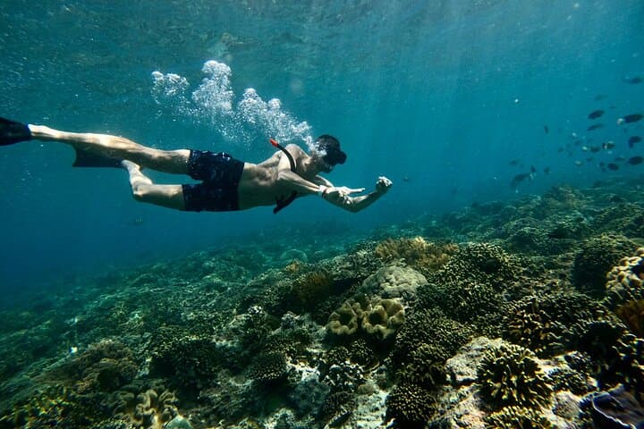 Bali Blue Lagoon Snorkeling: Shared Transfers to Tanjung Jepun with Lunch photo 6