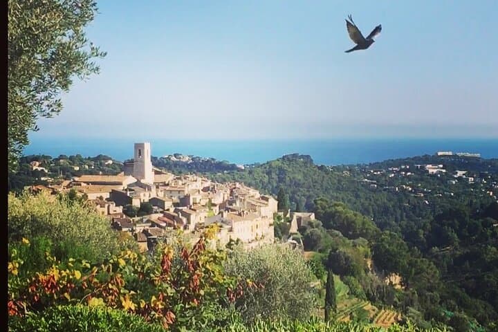 Private Guided Tour on the French Riviera — Customized Nice & Monaco Day Trips photo 5