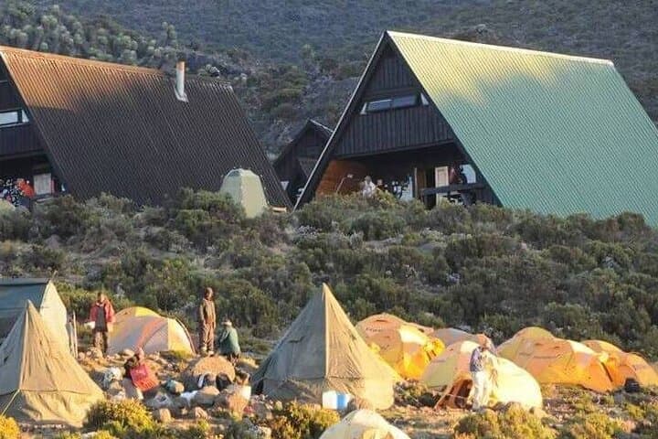 Climb Mount Kilimanjaro: 5-Day Marangu Route Hut Trek to Uhuru Peak photo 3