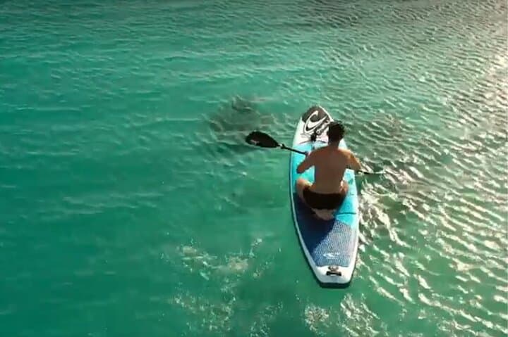 Obhur Beach Club Day Trip from Jeddah — Red Sea Swim & Heritage photo 4