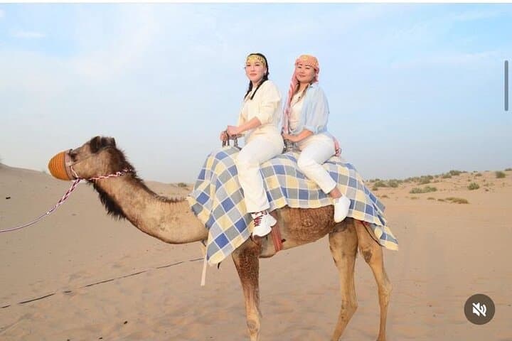 Evening Desert Safari in Dubai: Red Dune Dune-Bashing, Camel Rides & Bedouin Camp photo 6