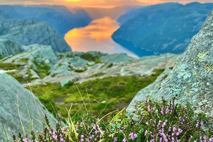 Hidden Nature Trail to Preikestolen — Quiet Hike Above Lysefjorden photo 4