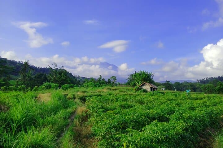 Sidemen Trekking: Rice Terraces, Temples & Mount Agung Views photo 5