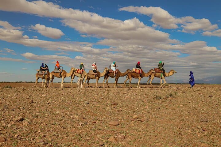 Agafay Desert Quad & Camel Sunset with Traditional Moroccan Dinner (From Marrakech) photo 4