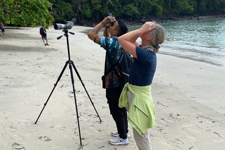Manuel Antonio National Park Guided Tour: Wildlife, Beaches & Forest Trails photo 4