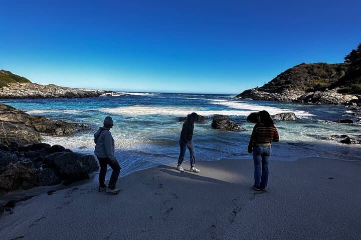 Private Zapallar Walking & Penguin-Watching Tour from Santiago