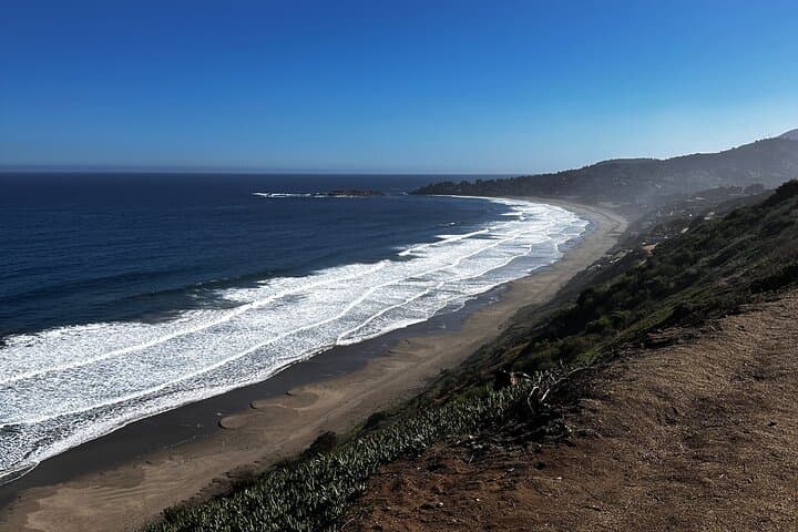 Private Zapallar Walking & Penguin-Watching Tour from Santiago photo 2