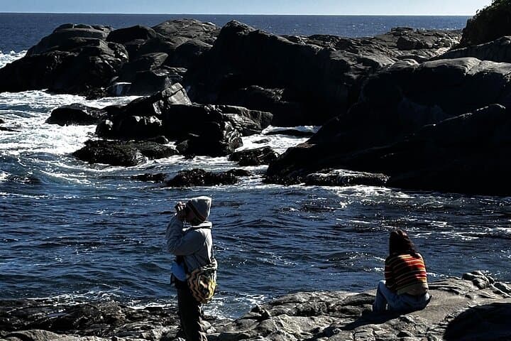 Private Zapallar Walking & Penguin-Watching Tour from Santiago photo 3