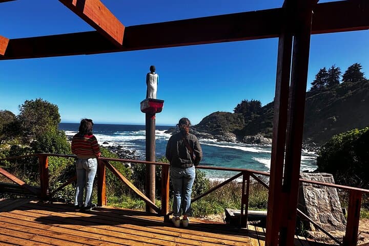 Private Zapallar Walking & Penguin-Watching Tour from Santiago photo 5