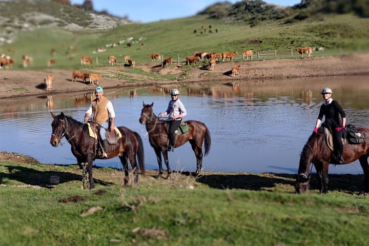Horseback Riding in Simbruini National Park: Day Trip from Rome with Lunch & Wine