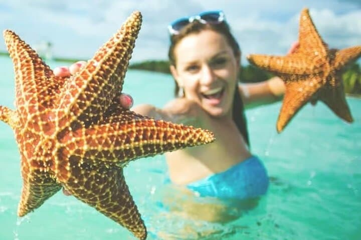 Saona Island Day Trip: Speedboat to Pristine Beaches & Natural Pool