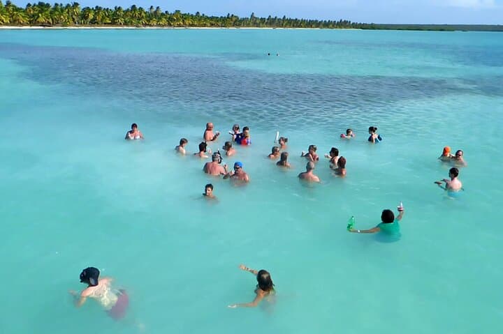 Saona Island Day Trip: Speedboat to Pristine Beaches & Natural Pool photo 5