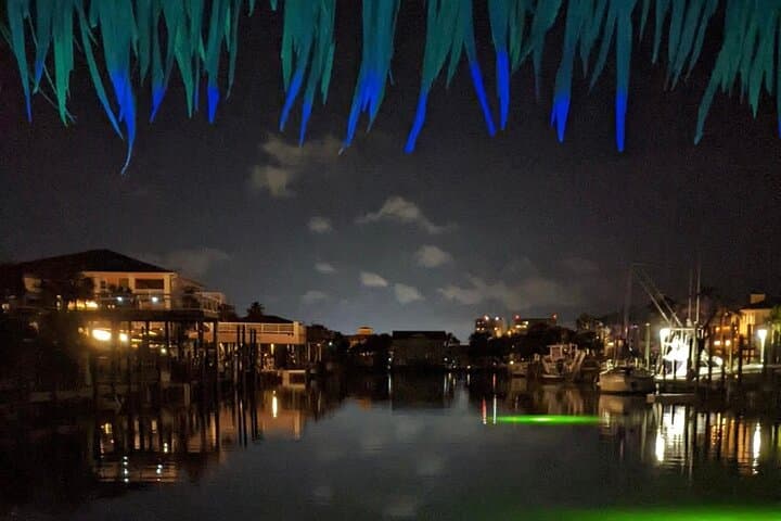 Destin Harbor Lights Tiki Cruise — Evening BYOB Skyline Cruise photo 3