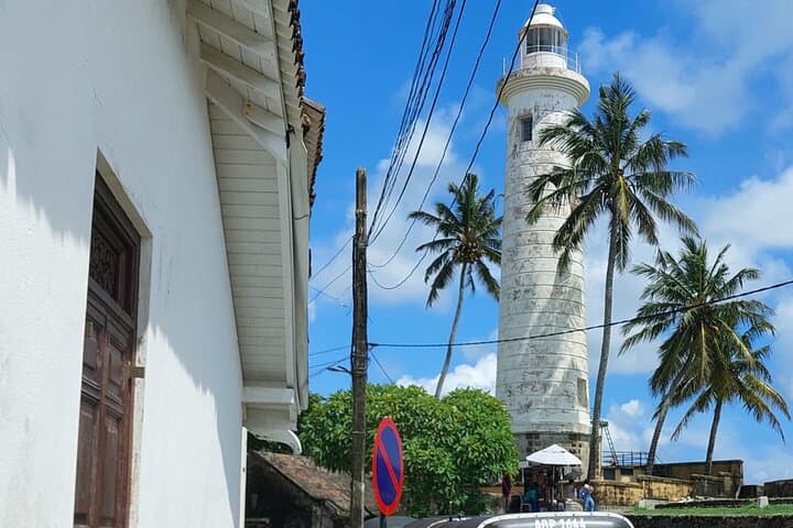 Bentota Coastal Escape: Beaches, Madu River Safari & Turtle Hatchery Day Trip photo 2